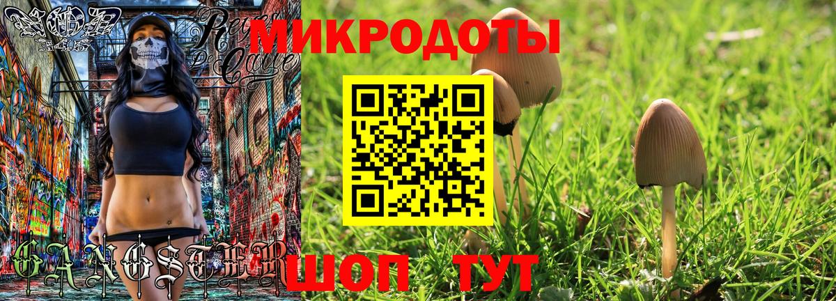 продажа наркотиков  Галлюциногенные грибы мухоморы  Вход с VPN  Галлюциногенные грибы прущие грибы  Шебекино 